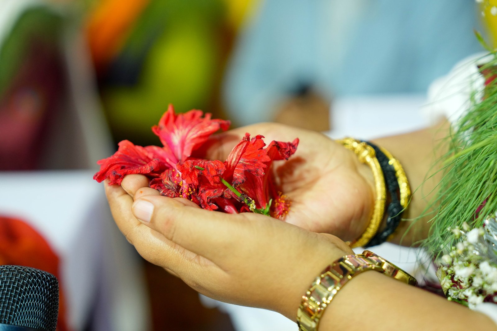 ऐतिहासिक श्रीगण्डकी शत (सय) कुण्डीय गायत्री कोटीहोम विराट् ज्ञान महायज्ञ २०८२—भव्य र सभ्य रुपमा सम्पन्न—